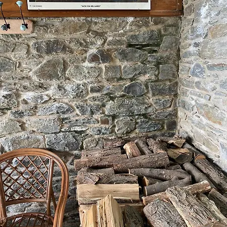 The Happy Rooster - With Big Garden