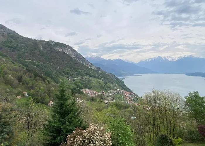 The Happy Rooster - With Big Garden וילה