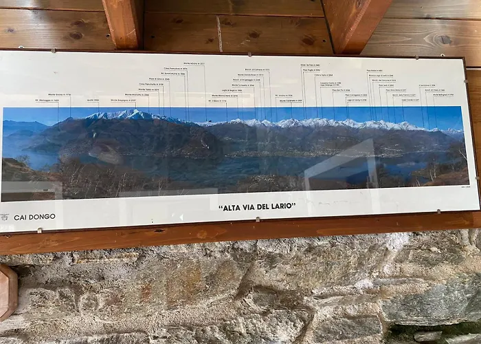 The Happy Rooster - With Big Garden *