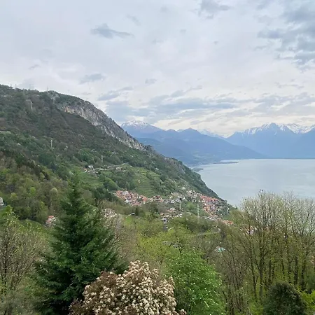 The Happy Rooster - With Big Garden Villa