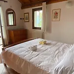 The Happy Rooster - With Big Garden