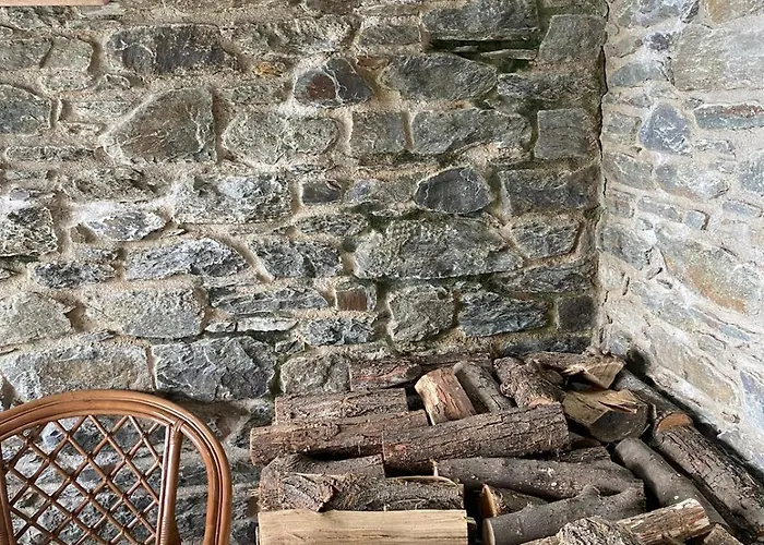 The Happy Rooster - With Big Garden