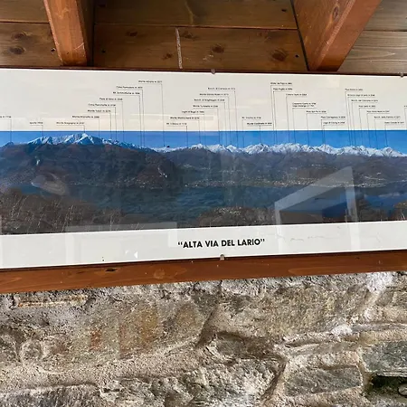 The Happy Rooster - With Big Garden *